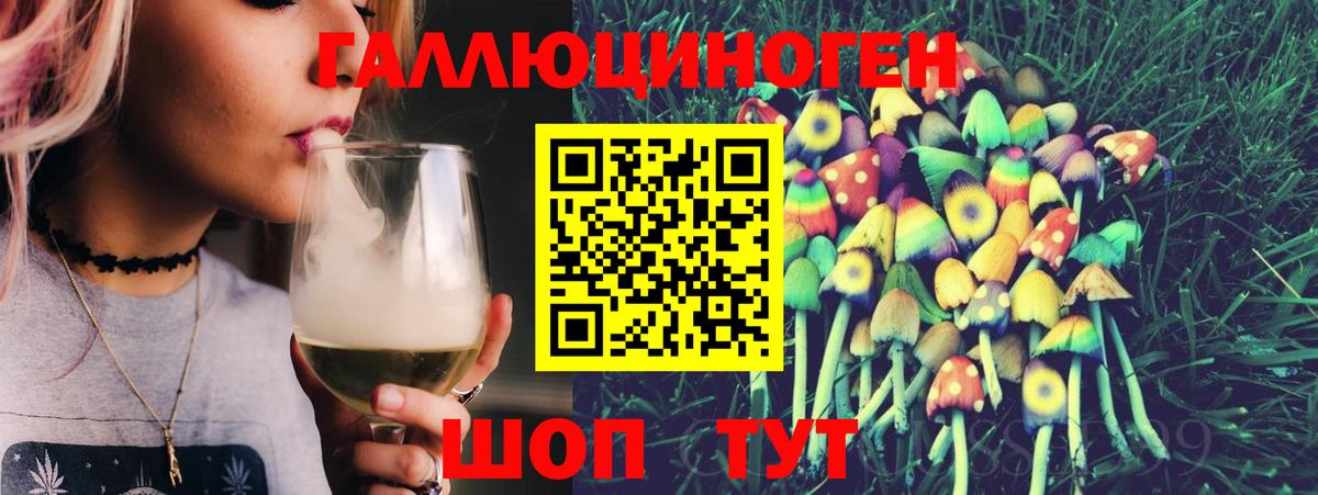 где продают наркотики  Вход с VPN  Псилоцибиновые грибы GOLDEN TEACHER  Михайловка  Галлюциногенные грибы Psilocybine cubensis 